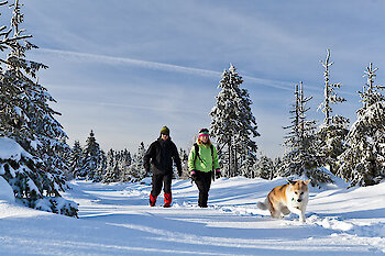 Winterurlaub in Bodenmais im Bayerischen Wald